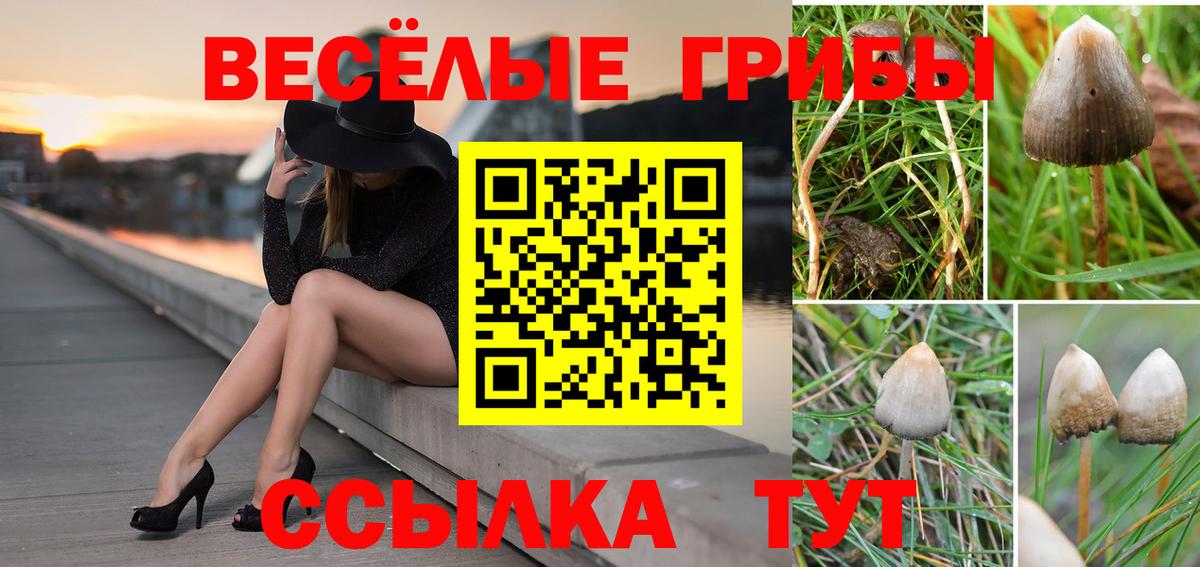 Галлюциногенные грибы ЛСД Ефремов