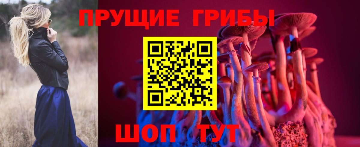Ефремов  Псилоцибиновые грибы мицелий  Вход с VPN 
